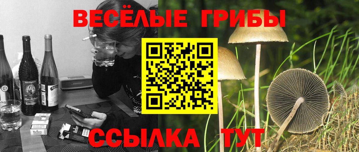Среднеуральск  Псилоцибиновые грибы прущие грибы  Вход с VPN 